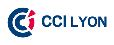 Logo CCI Lyon, partenaire RocketFin